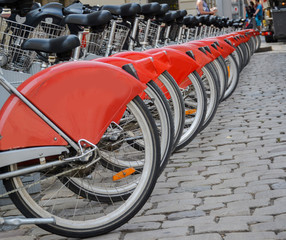 Row of bicycles for rent.