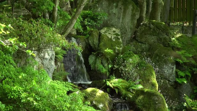 small waterfall in a lush japanese garden