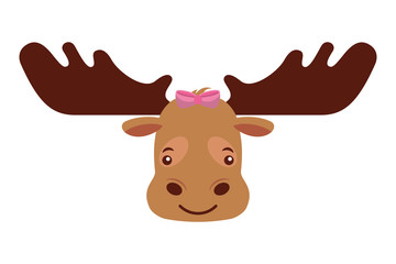 cute beautiful female moose with bow