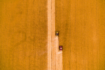 Harvesting of wheat in summer. Two red harvesters working in the field. Combine harvester agricultural machine collecting golden ripe wheat on the field. View from above.