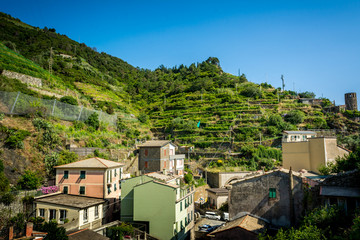 Horizontal View of the Terracings in the Coutryside of  Vernazza at Summer.