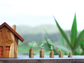 wooden house model and step of coins stacks with plant growing,saving and investment or family planning concept