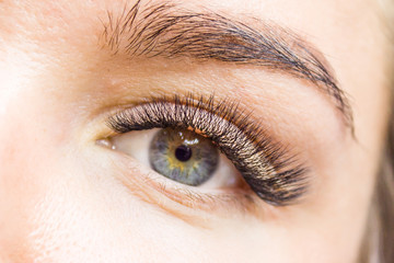 Fototapeta premium Beautiful Woman with long lashes in a beauty salon. Eyelash extension. - Beauty and fashion concept