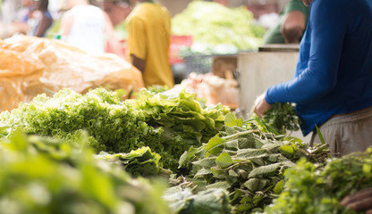 Vegetables for sale at the popular fair