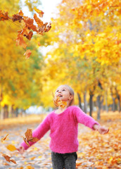 Cute little girl plays with an autumn leaves.



