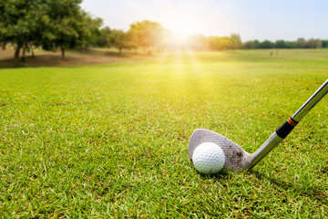 Golf ball on beautiful green grass with sunlight in morning time. Sport and recreation playground...