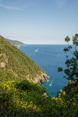 Fototapeta na wymiar Vertical View of the Cliff in the Path connecting Vernazza to Monterosso.