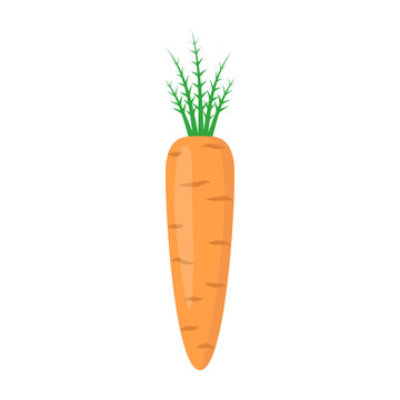 Carrot with leaf vector icon. Carrot icon clipart. Carrot cartoon. 