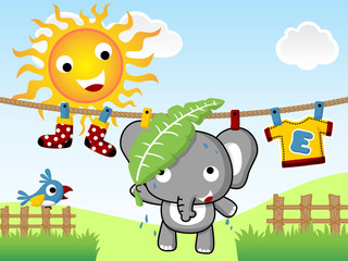 Vector of little elephant cartoon on clothesline at summer