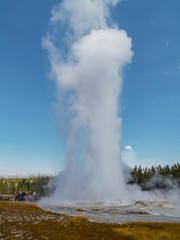 Giant Mastiff Geyser Eruption, Yellowstone National Park
