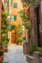 Obraz na płótnie Canvas Alley in the Town of Vernazza.