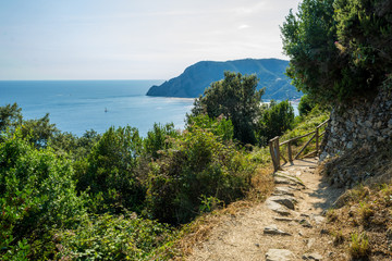 Horizontal View of the  Path in the Forest in the Mountains  from Vernazza to Monterosso.