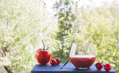 Dietary tomato juice with salt and tomatoes on a gray table top against green trees. The concept of healthy food advertising. Selective focus. Close up.