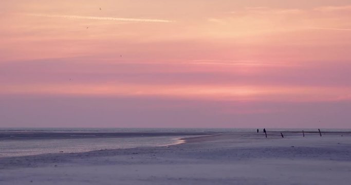 Gold hour sunset in Denmark Scandinavia Europe on beach with people walking