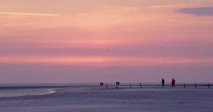 Gold hour sunset in Denmark Scandinavia Europe on beach with people walking