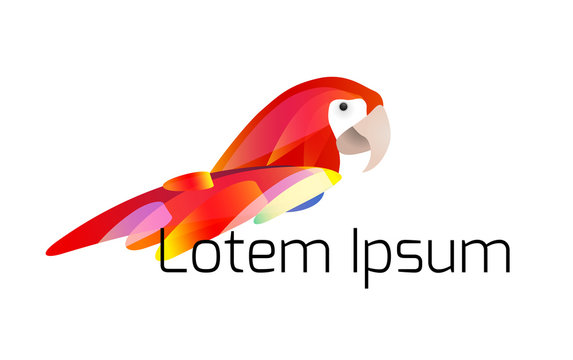 Logo template  with stylized illustration of a parrot with a multicolored tail and place for titles. Vector element for licons and your design