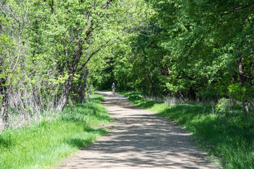 Forest Road