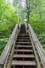 Fototapeta na wymiar Wooden Stair in Minnesota Forest