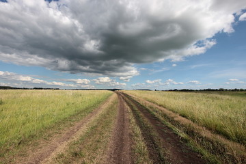 Fototapeta na wymiar summer landscape with clouds over the road in the field