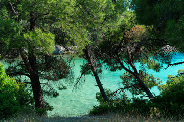 Blue sea water with evergreen forest