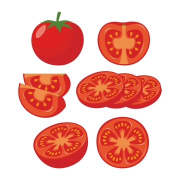 Slices of tomatoes illustration vector
