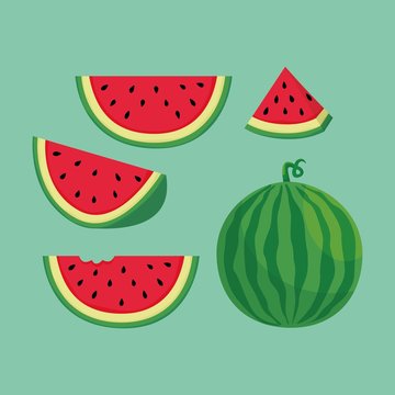 Slices of watermelon illustration vector