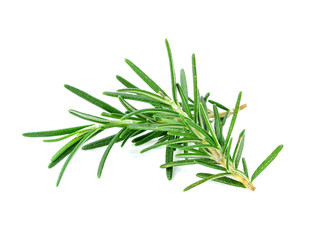 rosemary isolated on white background