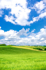 背景　テクスチャー　空の色