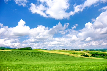 背景　テクスチャー　空の色