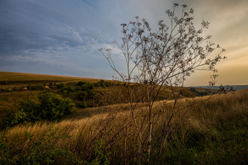 beautiful rural landscape during sunset and blue sky over grass field