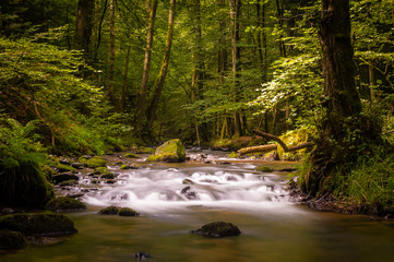 Obraz premium Tall river