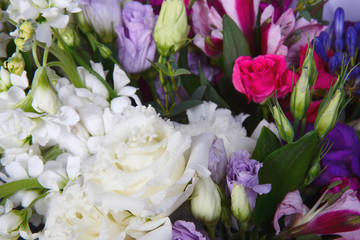 Beautiful flowers as background