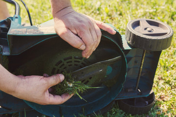 Cutting green grass electric lawn mower.