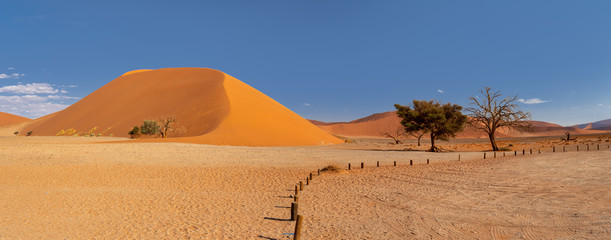 Fototapeta na wymiar Dune 45 in Sossusvlei, Namibia desert