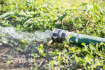 Riegando el Jardin
