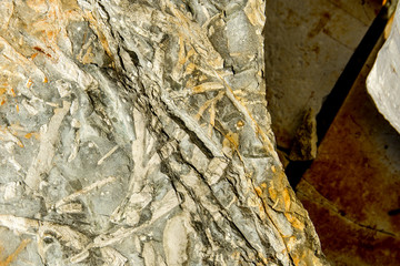 the texture of ancient stone on the beach