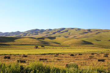 Mountains and green fields. Kyrgyzstan.