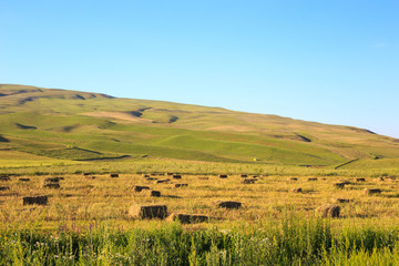 Mountains and green fields. Kyrgyzstan.