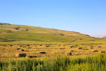 Fototapeta na wymiar Mountains and green fields. Kyrgyzstan.