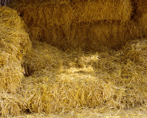 Dry hay stacks in rural wooden barn interior