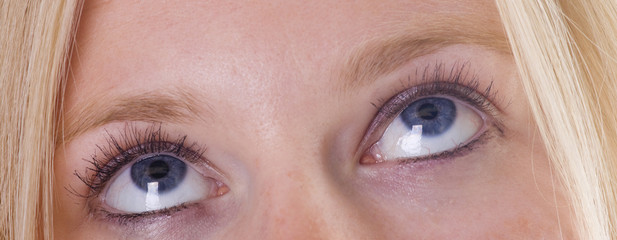 Obraz premium Blue eyes