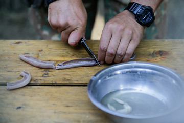 Man preparing a water snake to cook it 