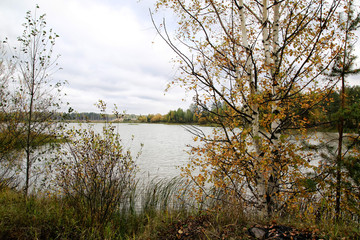 Obraz premium Autumn colours trees near the calm lake