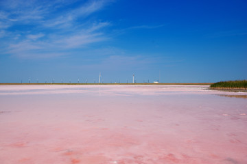 Lemurian Lake - a pink dream of Kherson