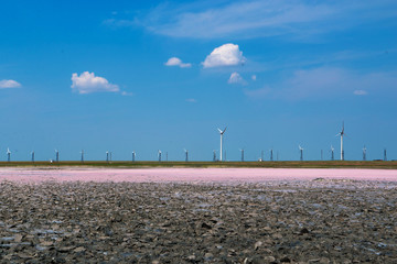Lemurian Lake - a pink dream of Kherson