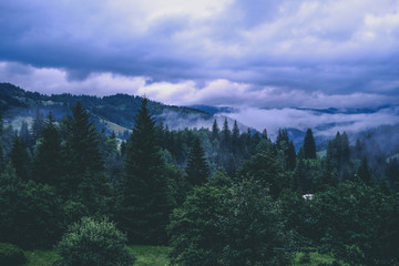 Green rain mountain forest in cloudy dark moody weather