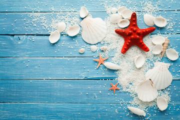 Summer sea background - shells and star