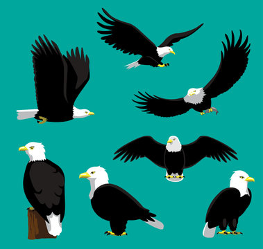 Bald Eagle Cartoon Vector Illustration