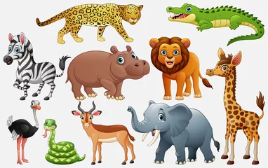 Keuken foto achterwand Zoo Cartoon wilde dieren op witte achtergrond