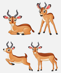 Cartoon impala collection set